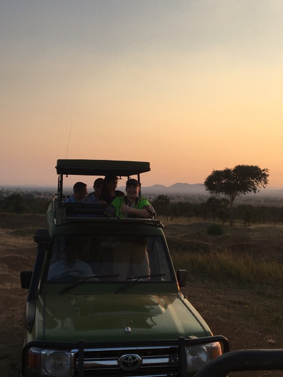 Mikumi National park