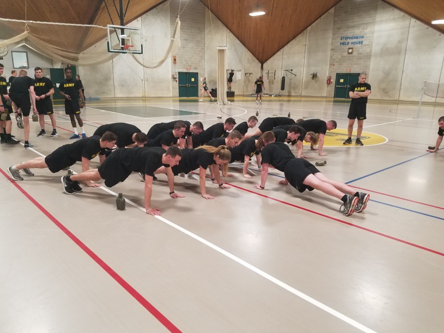 pushups 2018